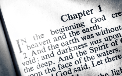 From Genesis to Revelation: Reading the Bible Without Losing Your Mind