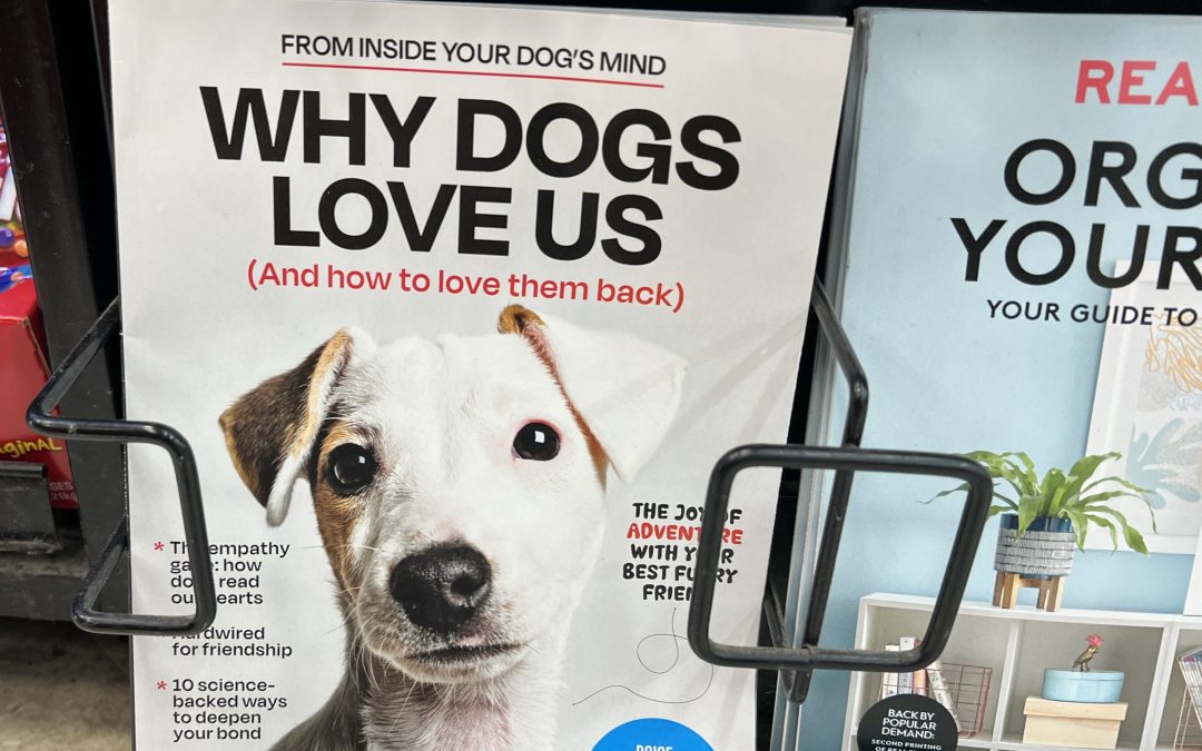 From a Dog’s Love to God’s: A Mirror for Today