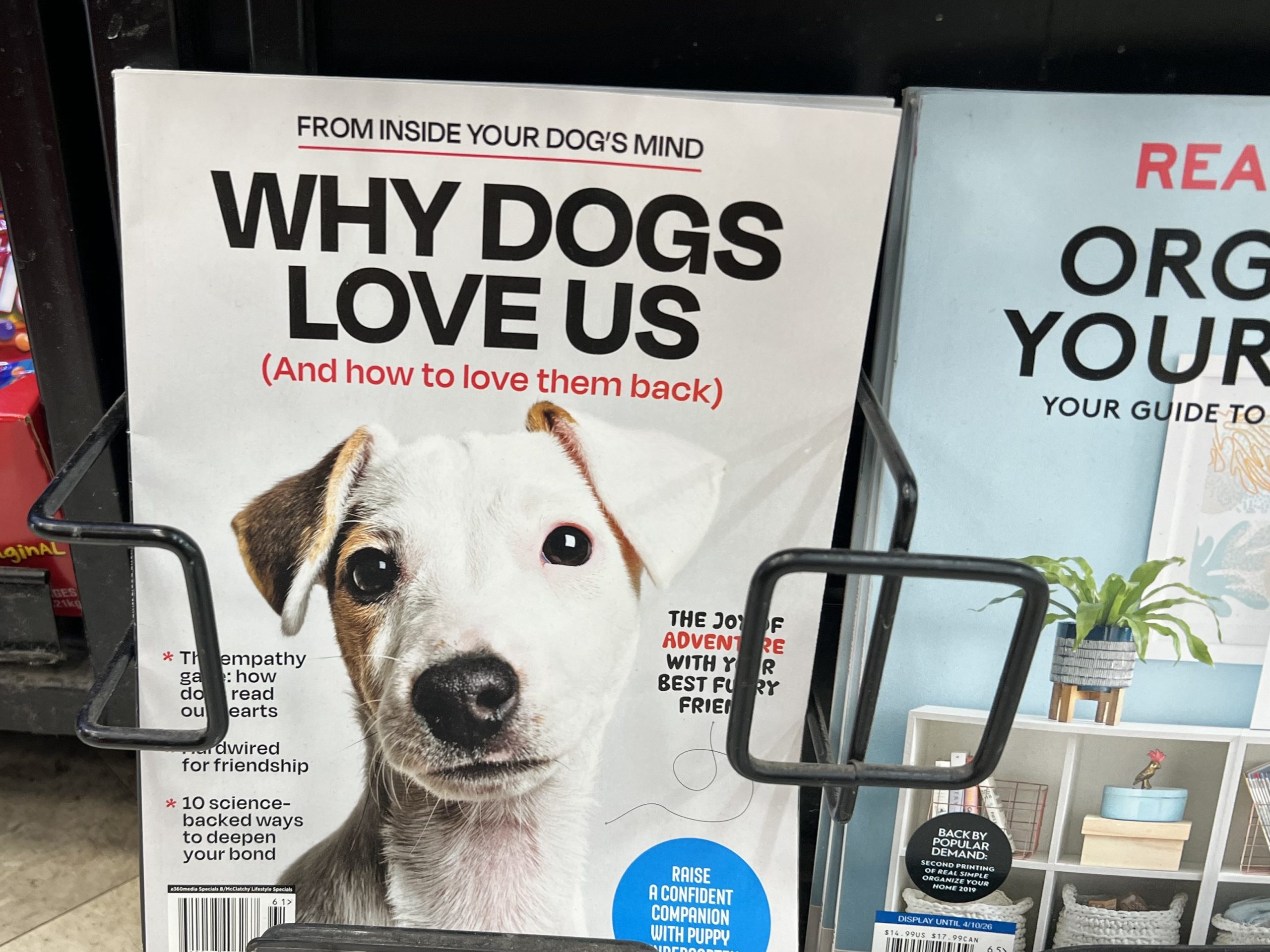 A Dogs Love