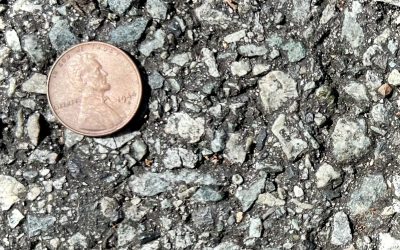 A Penny For Your Thoughts